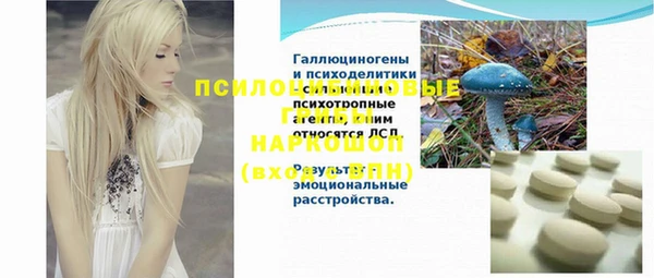 трава Губаха