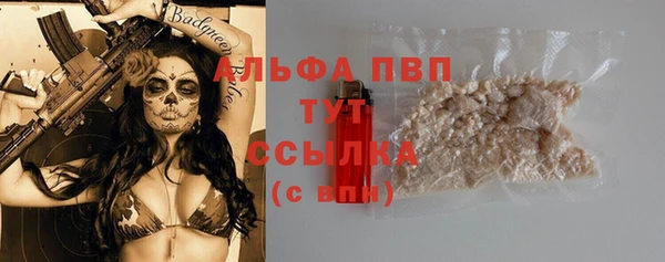 прущие крисы Белокуриха