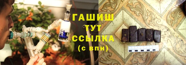 ECSTASY Галич
