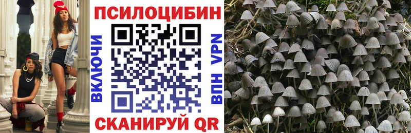 ссылка на мегу как войти  Липки  маркетплейс телеграм  где купить наркоту  Галлюциногенные грибы Psilocybe 